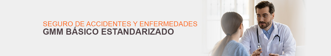 GMM Basico Estandarizado